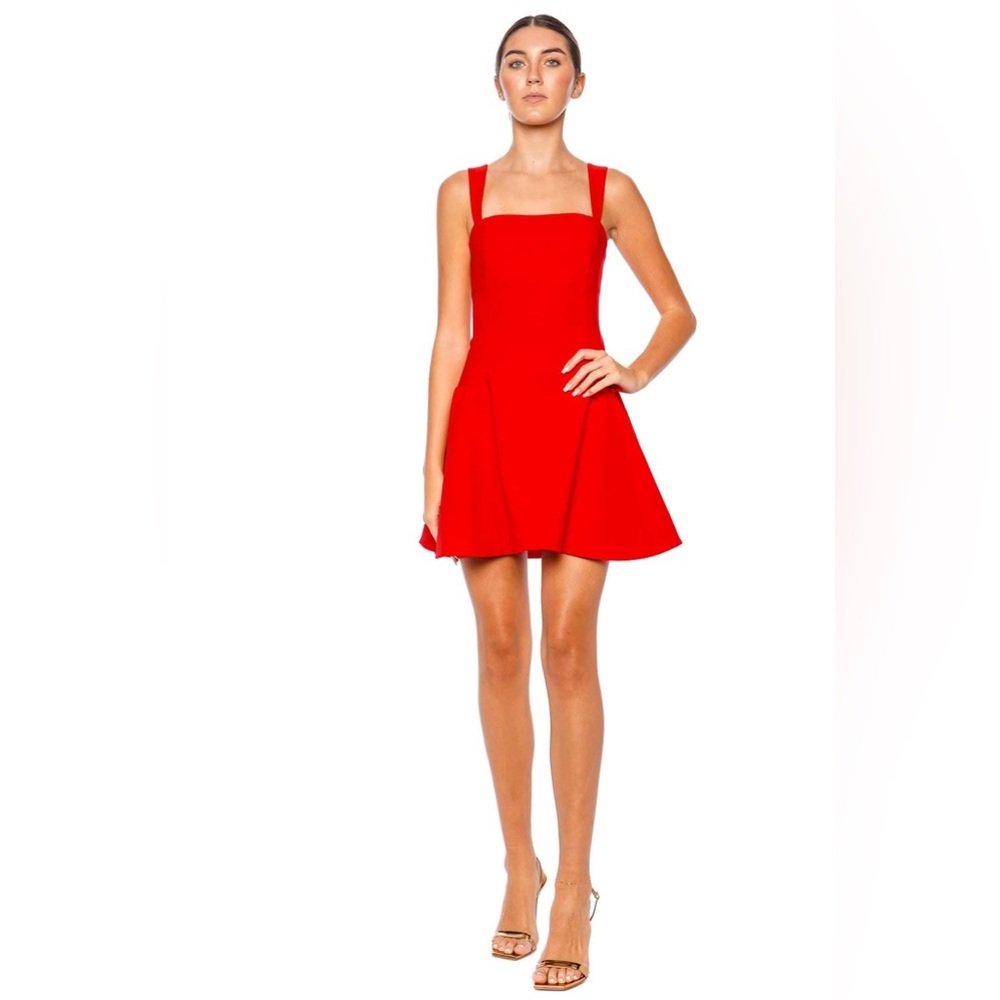 SIMKHAI
Sadie Fit & Flare Minidress